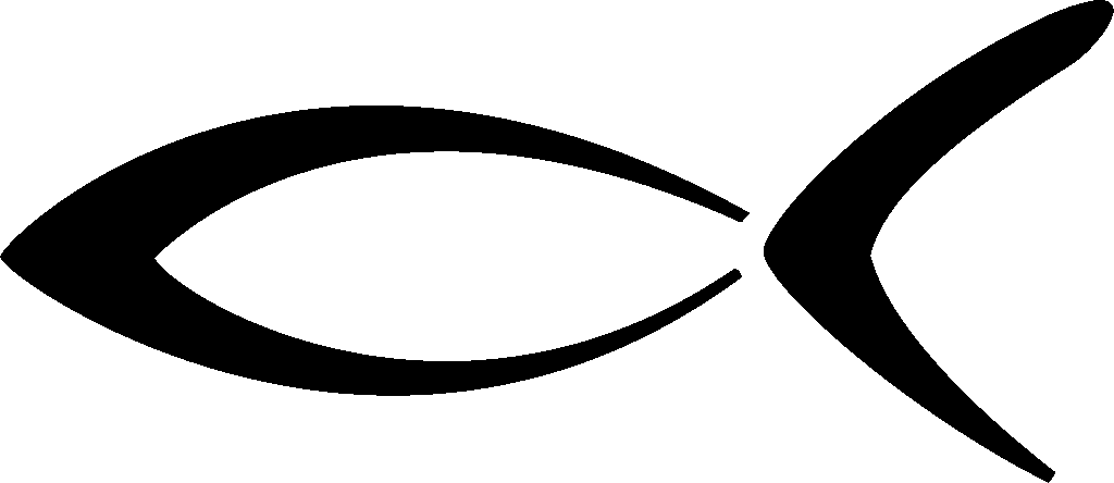 Sehtest & Brillenanalyse Dierdorf Partner